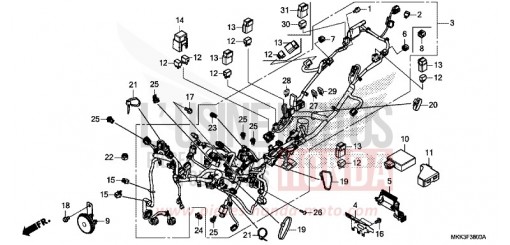 WIRE HARNESS CRF1000DJ de 2018